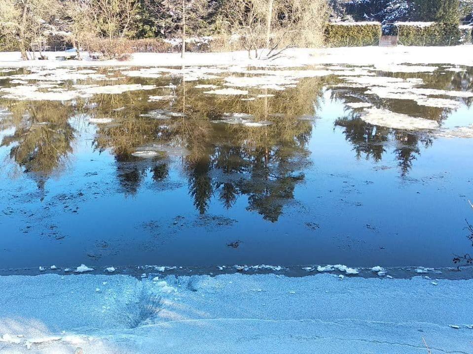 Chata Eva Villa Planá nad Lužnicí Bagian luar foto