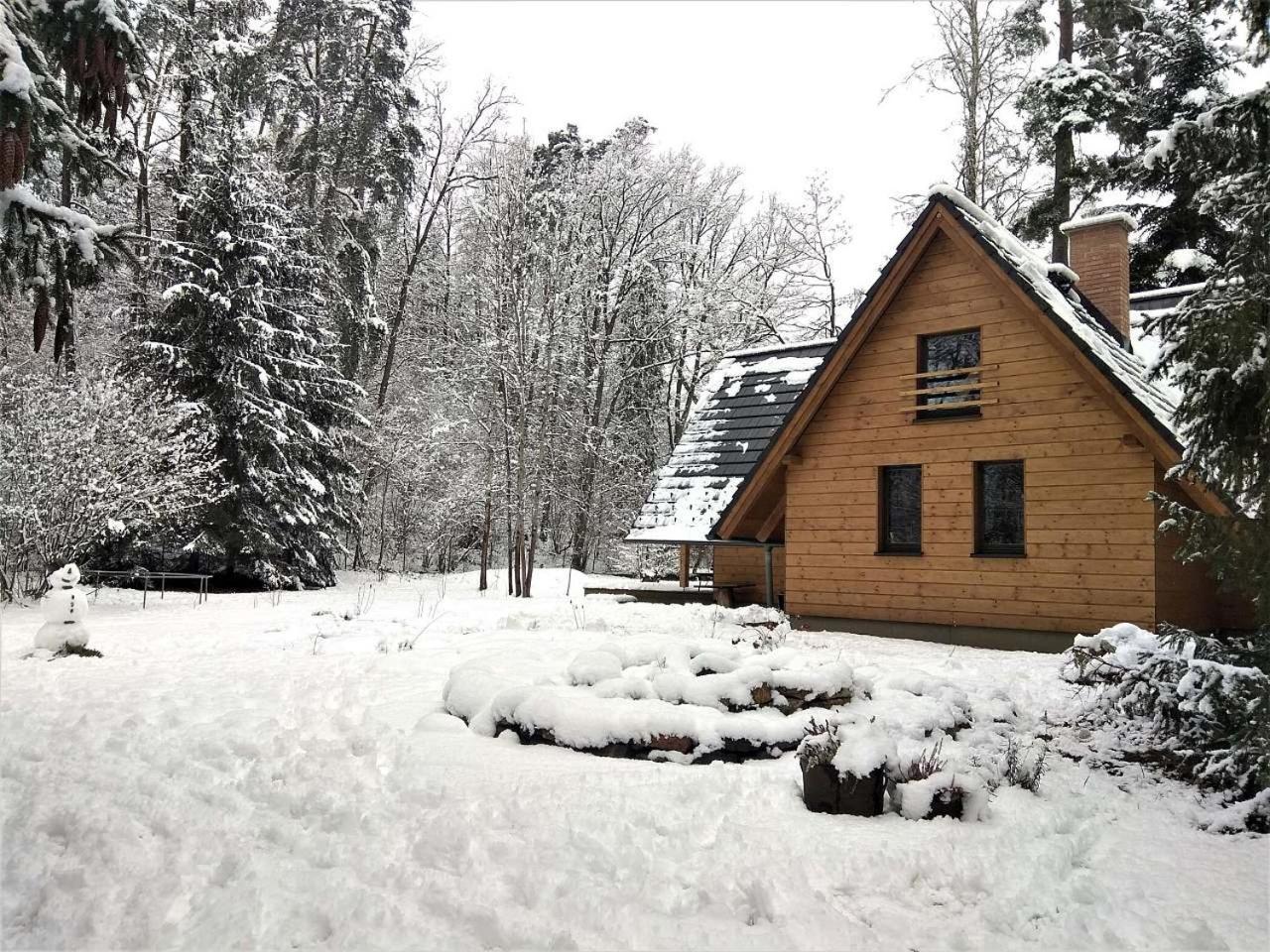 Chata Eva Villa Planá nad Lužnicí Bagian luar foto